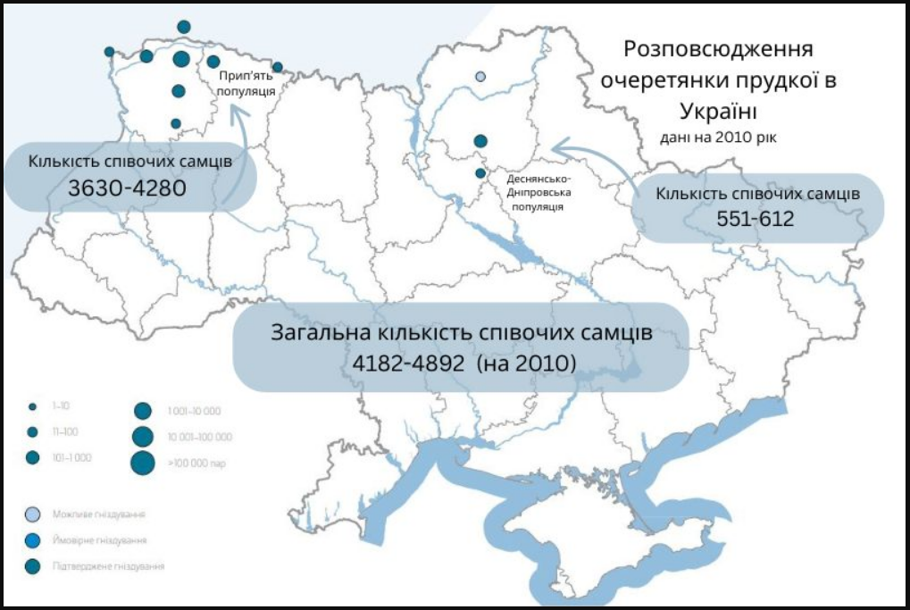Рідкісна співоча птаха зникає: в Україні розпочинають місію порятунку