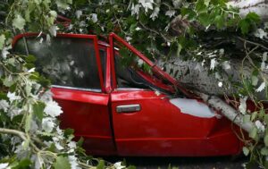 Сильні погодні умови в Києві призвели до падіння дерев та затоплення вулиць і пішохідних переходів