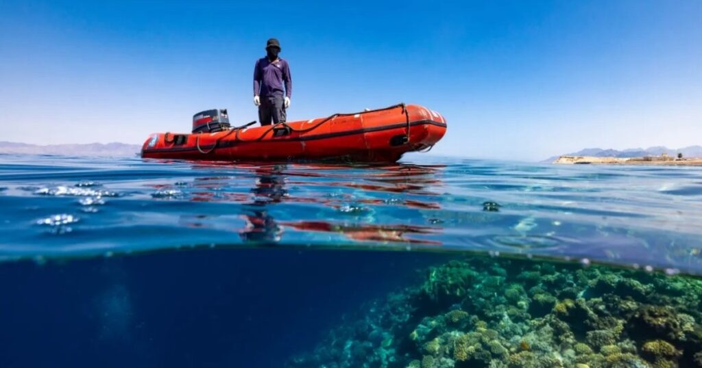 Одна з найвражаючих подій в історії: як Червоне море стало пустелею