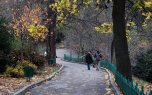 Сьогодні в Україні без опадів, але з заморозками