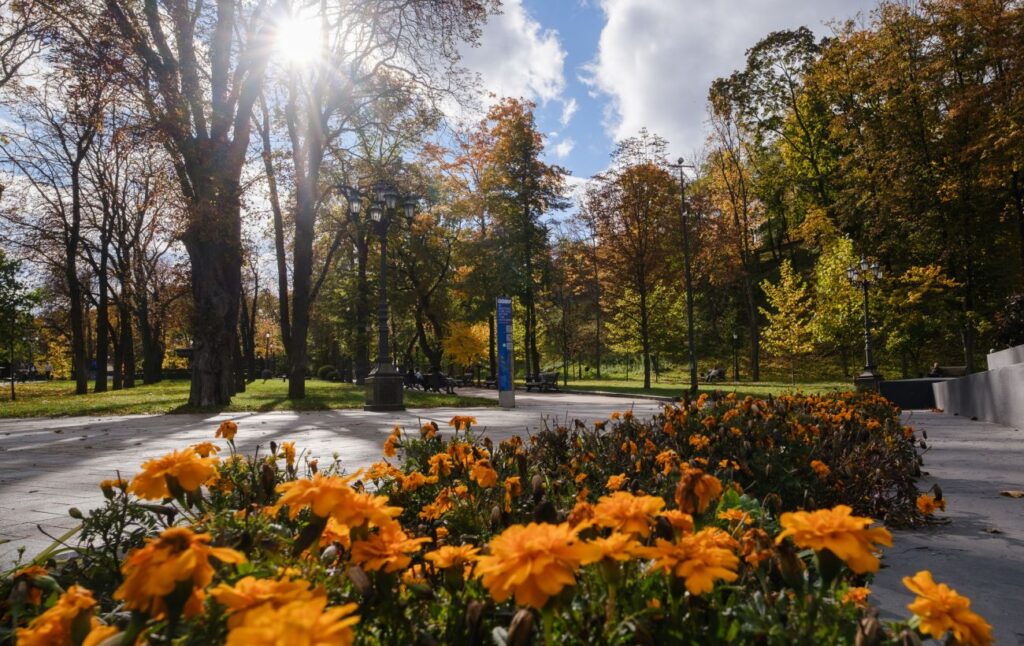 Бабине літо" після раптового похолодання: які зміни очікувати в погоді в Україні