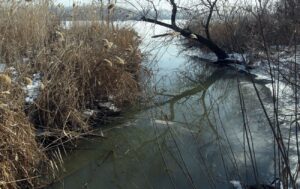 Коли на Дніпрі та водосховищах варто очікувати перший лід, згідно з прогнозами синоптиків