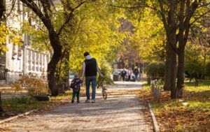 В Україні очікується потепління, на півдні місцями до +20 градусів